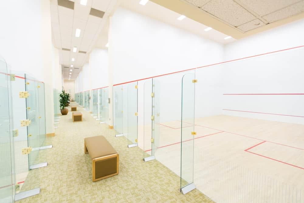 The Squash Courts at PRO Club