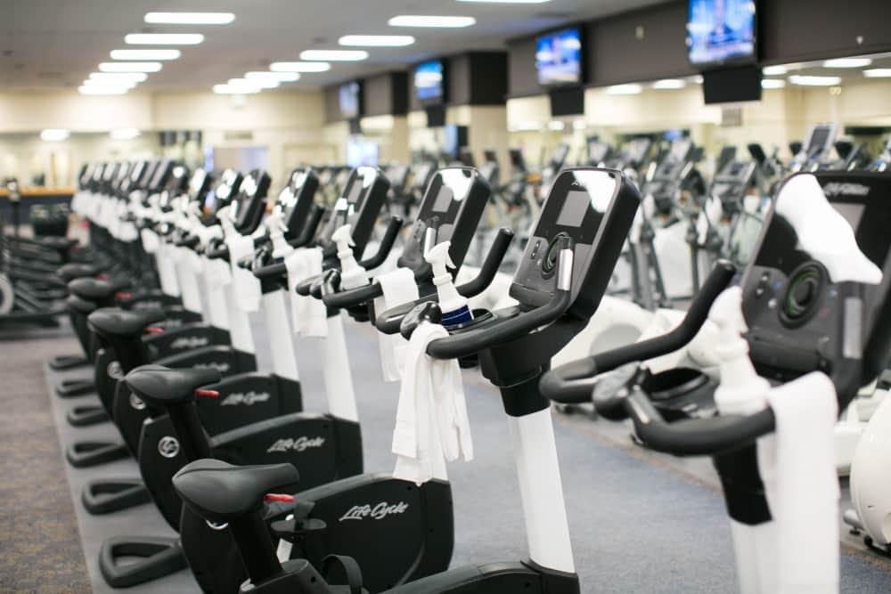 A row of stationary bikes at PRO Club