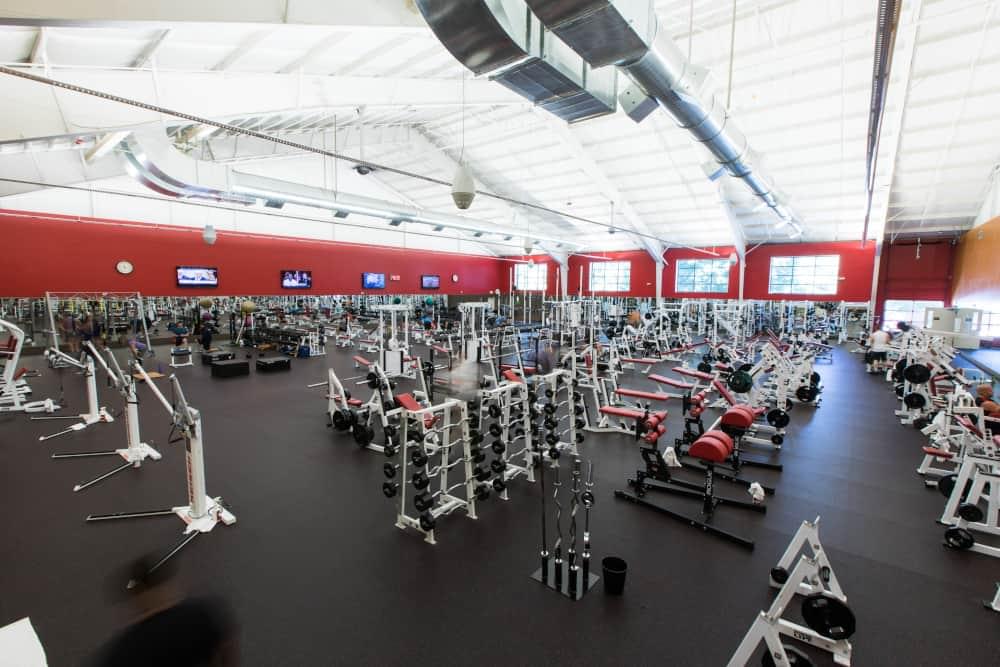 The Free Weights gym at PRO Club - Bellevue